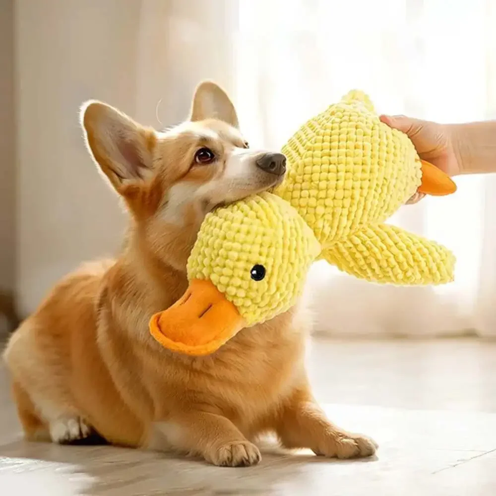 Interactive Plush Toy for Cats and Dogs, Aggressive Chewing, Squeak Doll,,Cats D